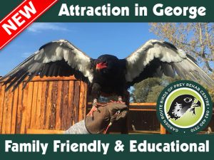 Great New Family Friendly Attraction in George