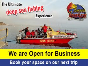 Mossel Bay Deep Sea Adventures Open for Business