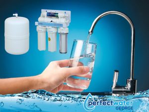 Perfect Water George Water Purification Systems