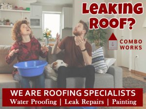 Do you have a Leaking Roof?