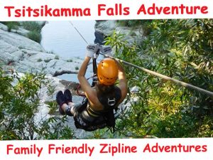 Family Friendly Tsitsikamma Zipline Adventures
