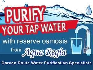 Purify your Tap Water