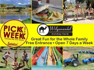 Family Fun at Wilgewandel – Lalakoi Pick of the Week