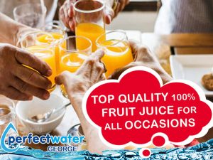 Top Quality 100% Fruit Juice from Perfect Water George