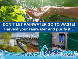 Rainwater Purification Systems George